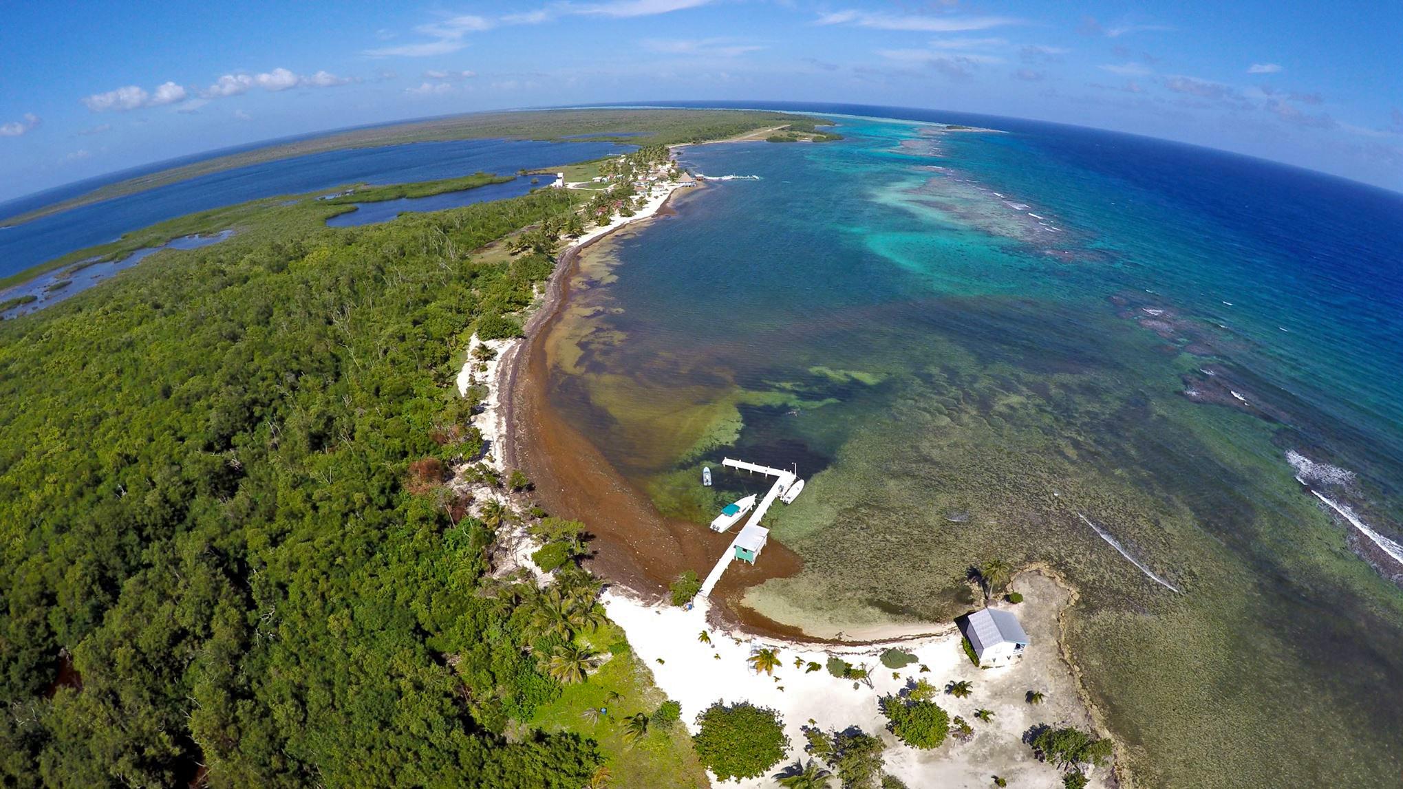 One of the first images of Blackbird Caye captured by a drone that is being used in dolphin research. © Eric Ramos