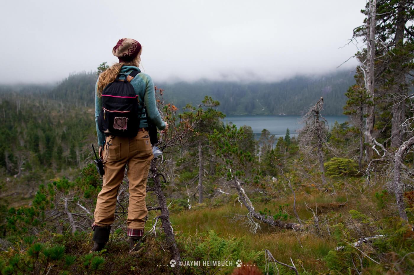 Exploring muskeg, a unique boggy habitat. © Jaymi Heimbuch