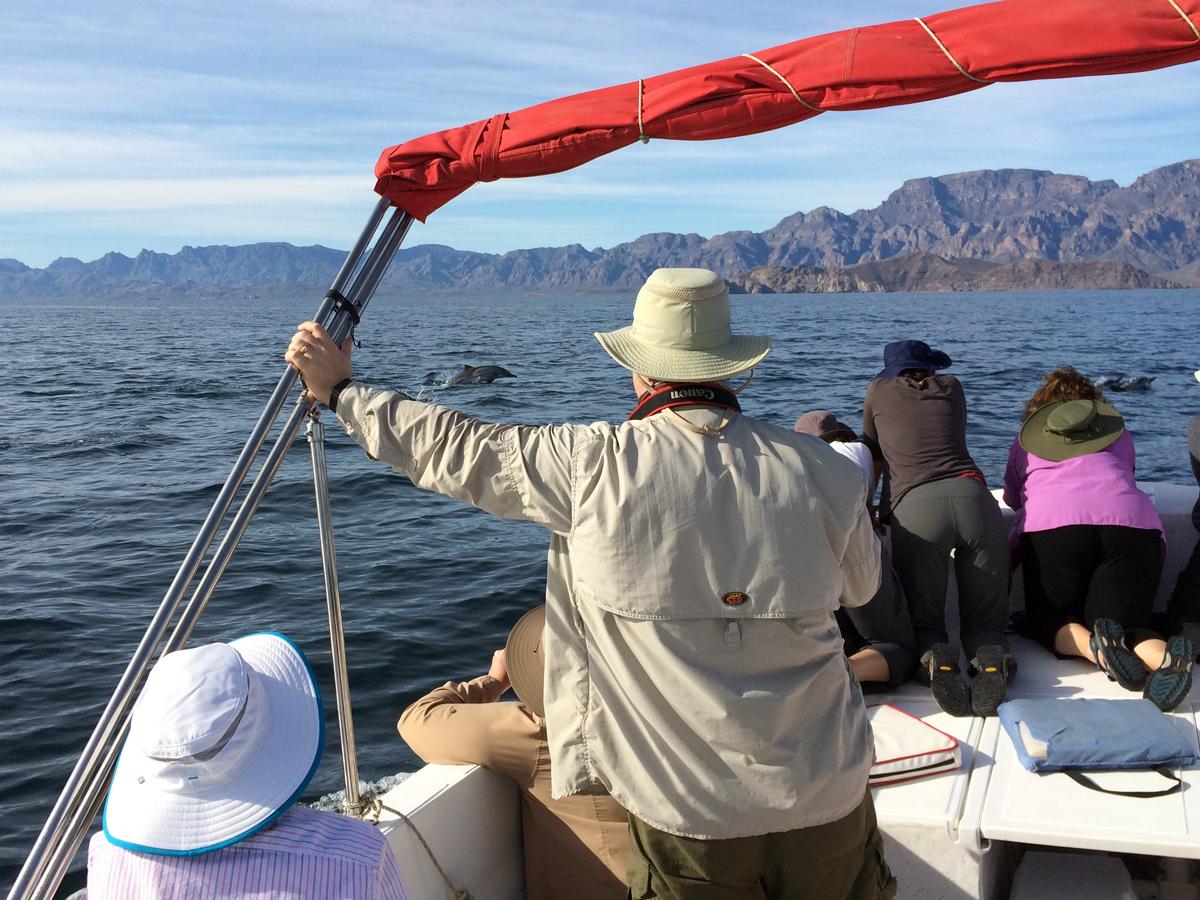 Watching common dolphins in the Sea of Cortez. © Kathi Koontz