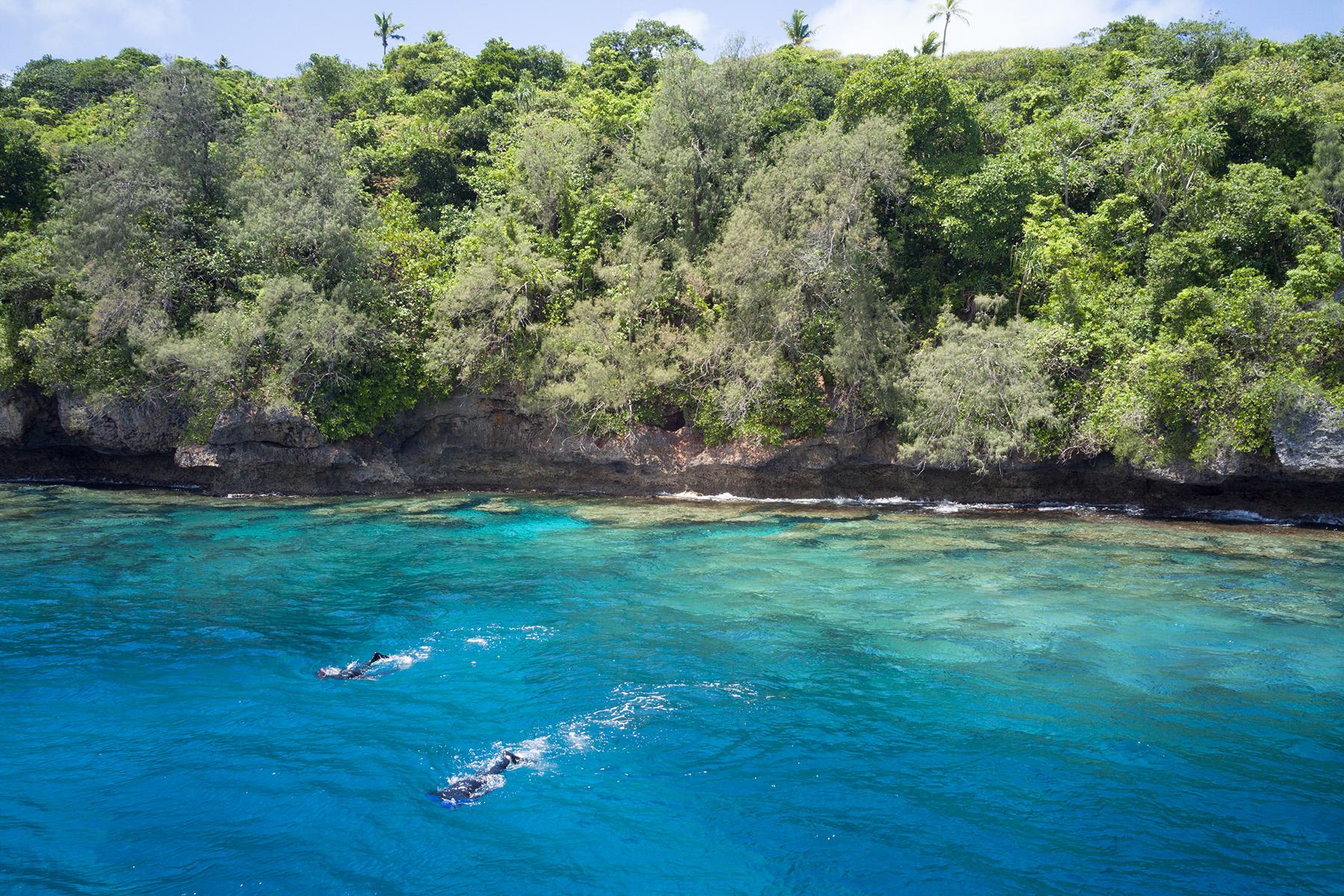 Snorkeling in Tonga