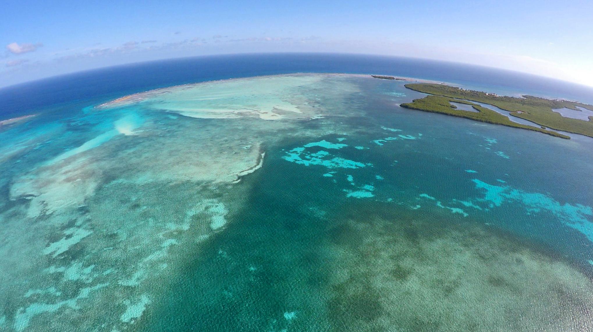 The quadcopter offers an exceptional vantage point from which to observe dolphin behavior in a non-invasive way. © Eric Ramos