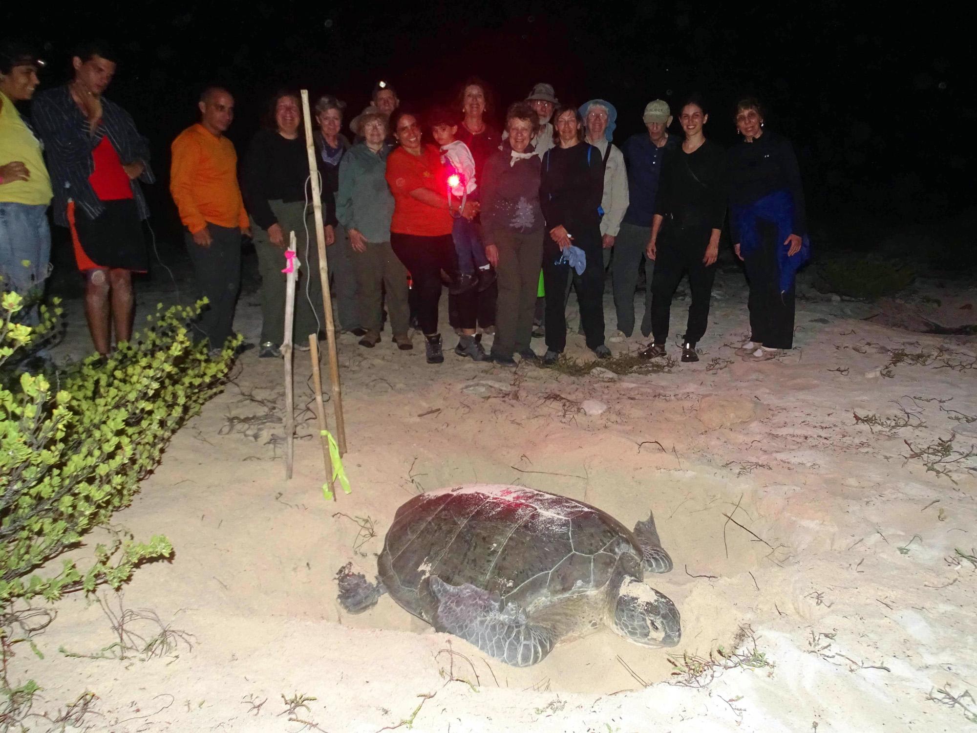 travelers with sea turtle in Cuba 