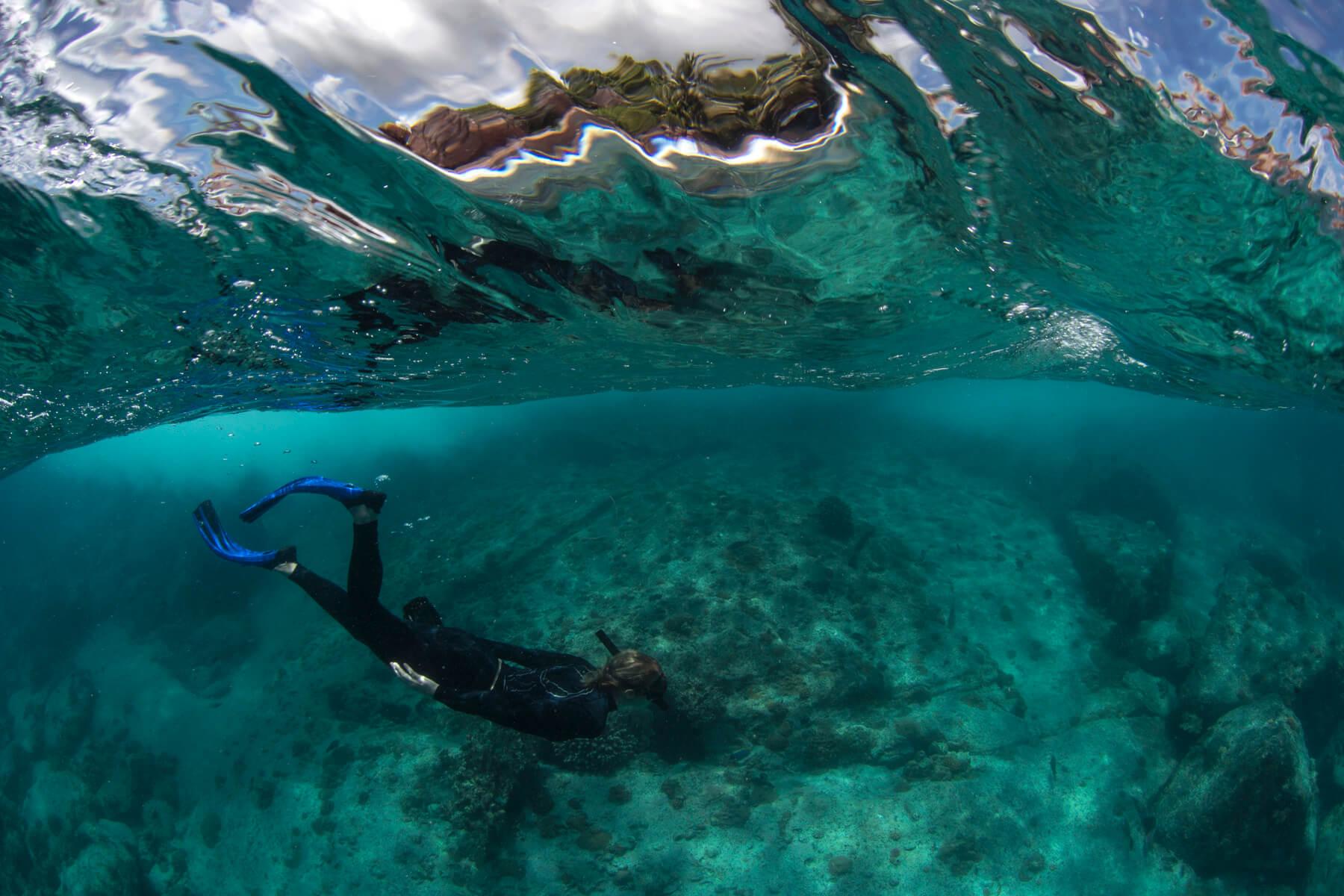 snorkeler underwater wearing wetsuit