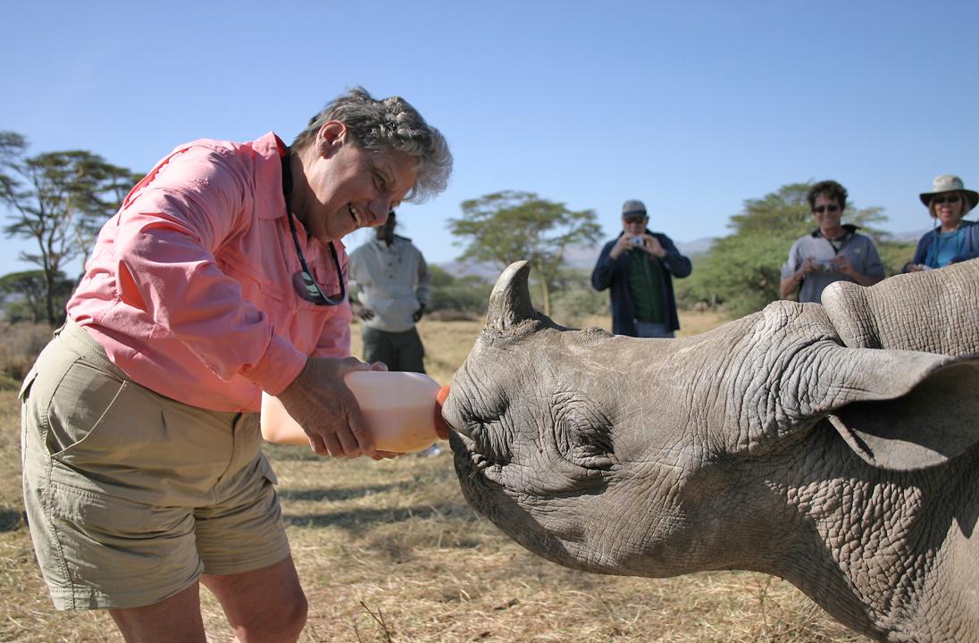 Bottle feeding an orphaned rhino on Oceanic Society's Kenya safari program. © Wayne Sentman