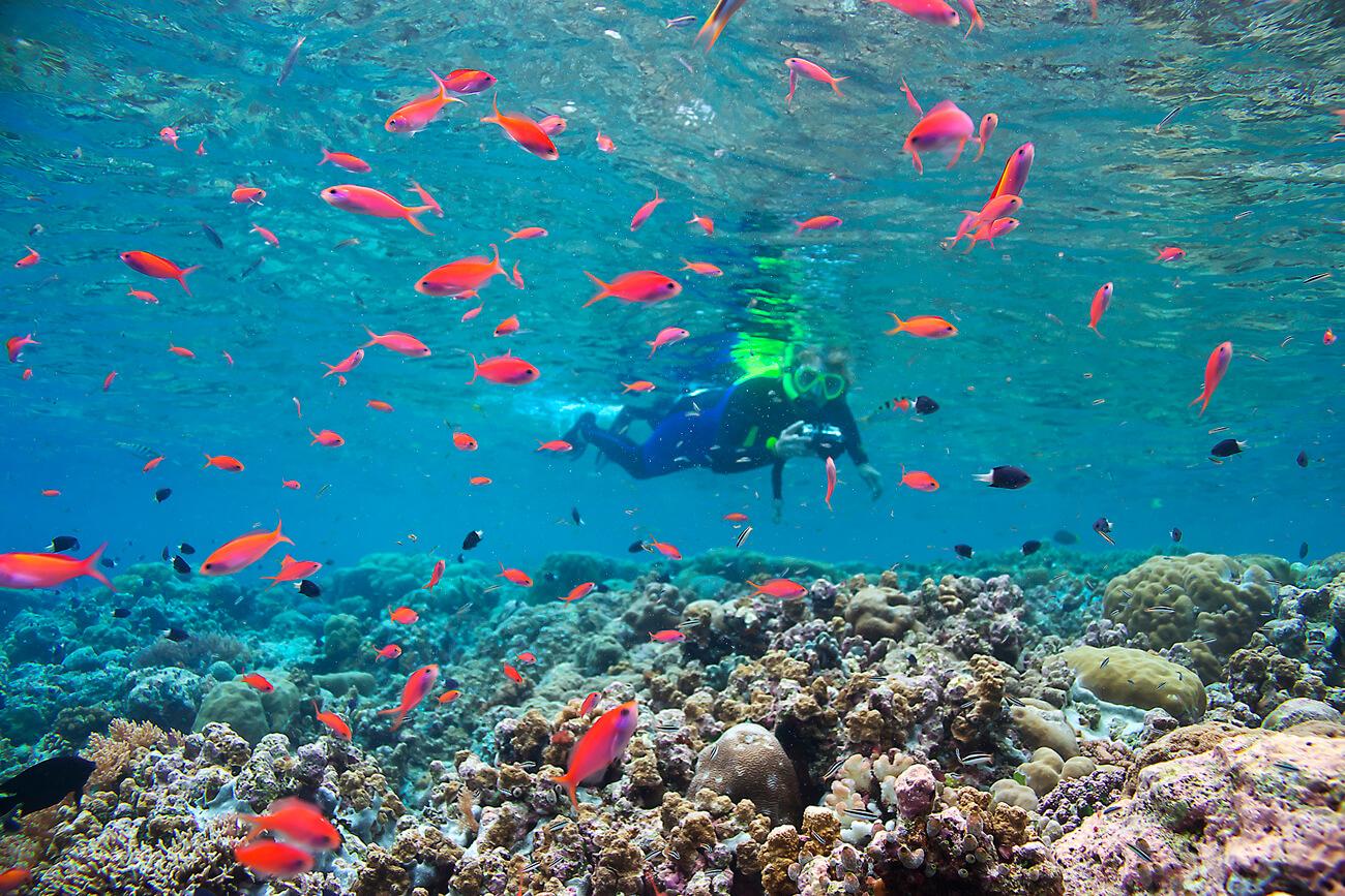 Excellent snorkeling conditions prevail in Palau. © Keoki Stender