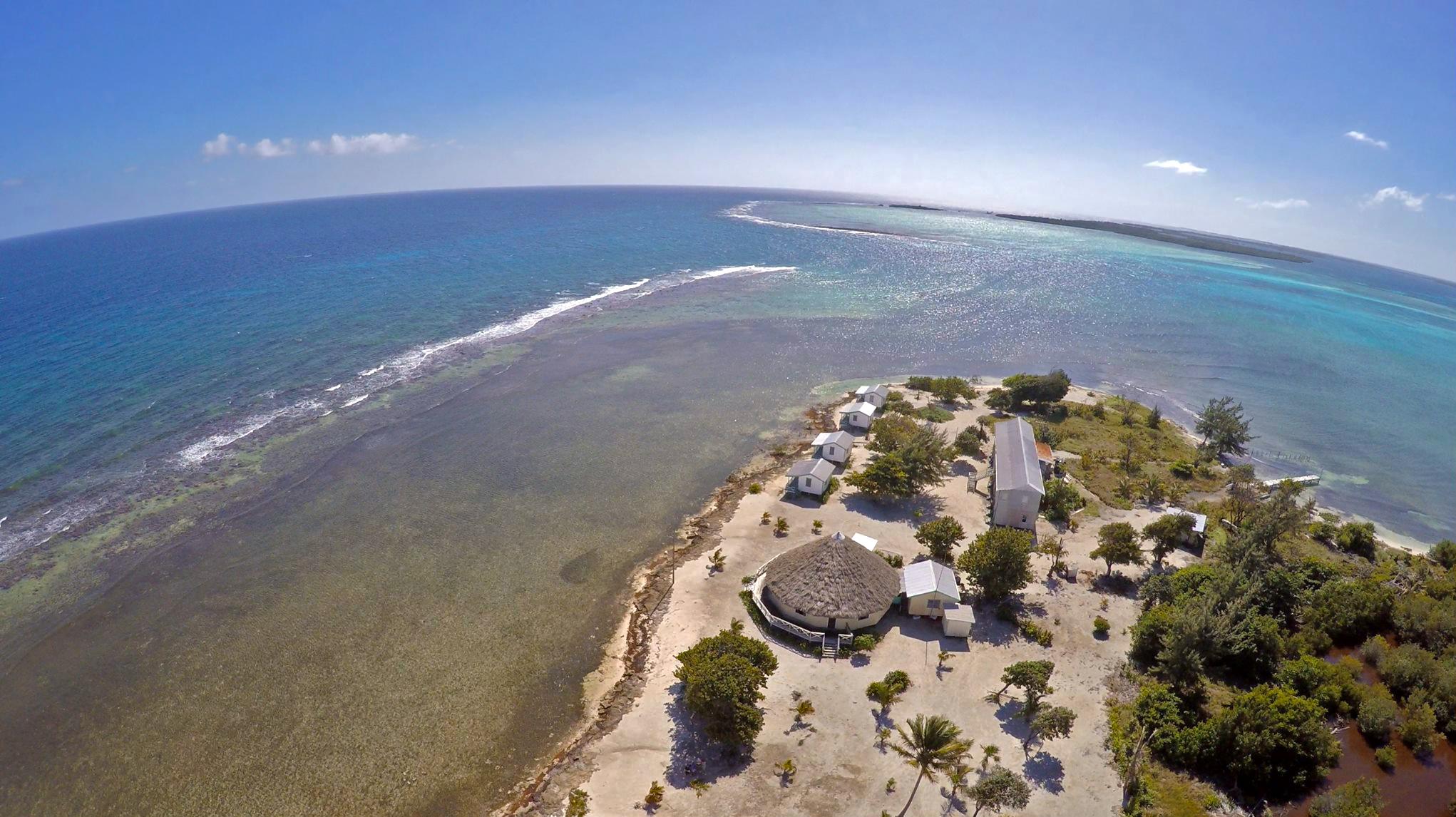 Flying high above our field station on Blackbird Caye. © Eric Ramos