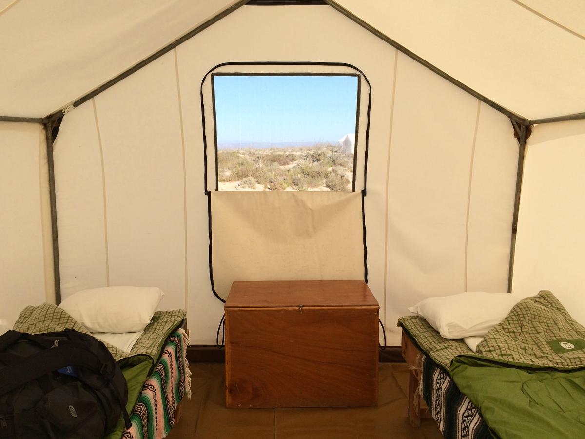 Inside my tent. © Kathi Koontz