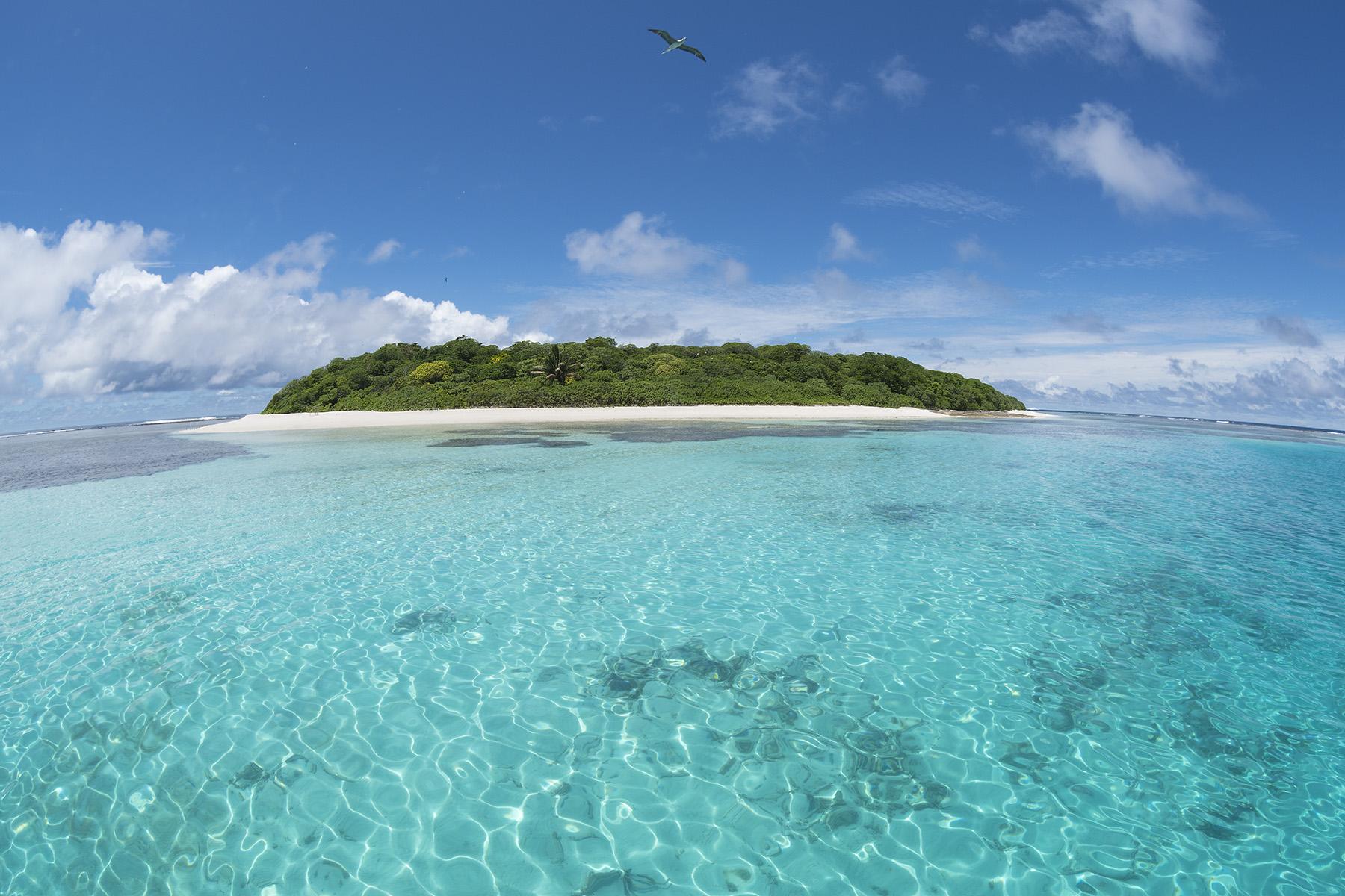 Tonga snorkeling trip