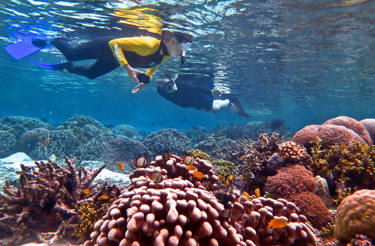 We found vibrant coral gardens throughout our expedition. © Wayne Sentman