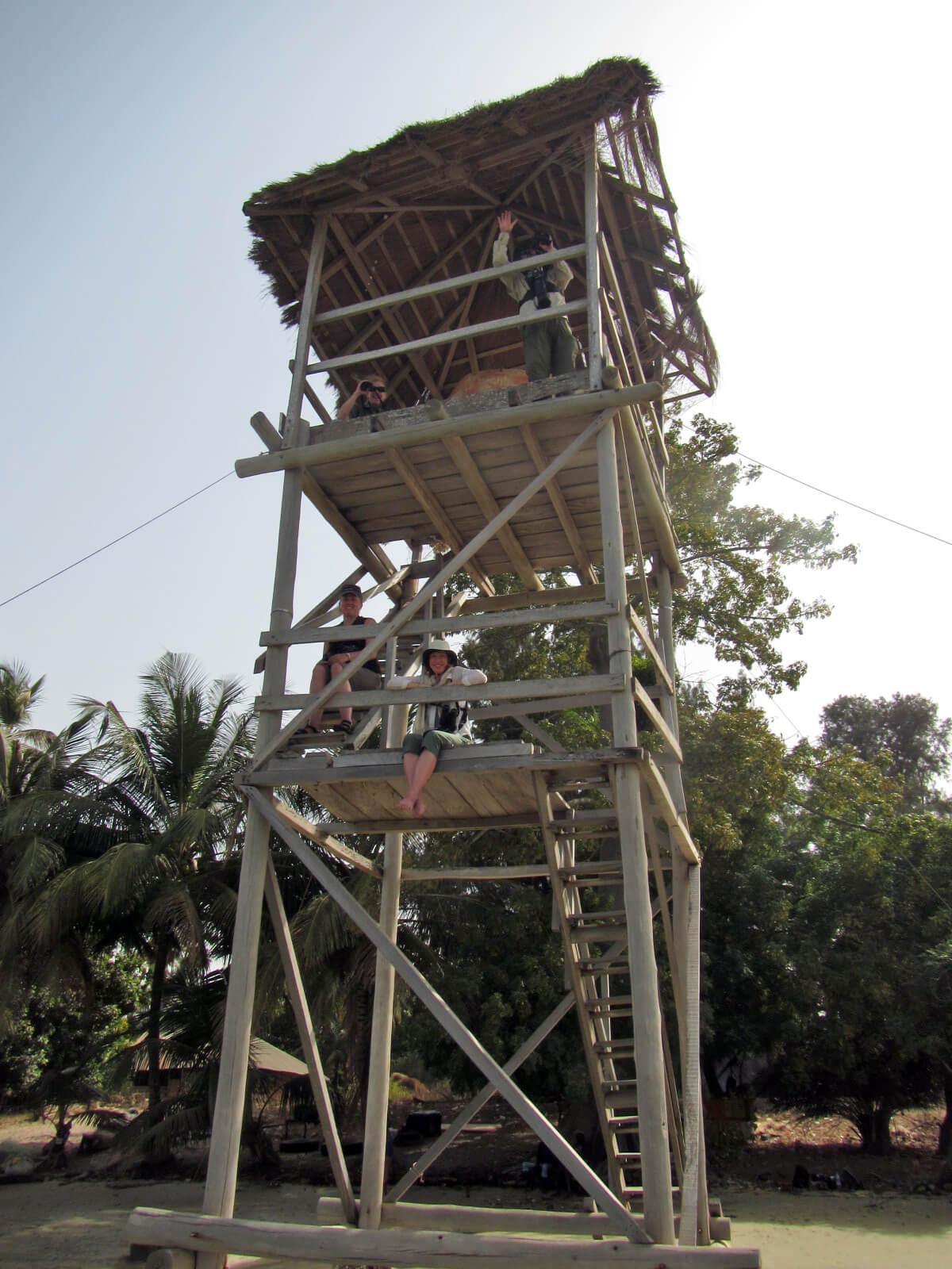 Excitement in the viewing tower as the group watches African manatees at Point St. George. © Lucy Keith-Diagne