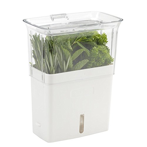 Cole & Mason Fresh Herb Keeper - Acrylic Herb Storage Container for Refrigerator - Fridge Herb Storage for Herbs & Vegetables - Herb Saver Pod - Clear