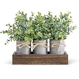 Dahey Centerpiece Table Decorations Coffee Table Decor Wood Tray 3 Galvanized Pots with Artificial Eucalyptus Plants Farmhouse Decor Table Centerpieces for Dinning Living Room Bath Kitchen, Brown