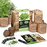 Indoor Herb Garden Starter Kit - Heirloom, Non-GMO Herb Seeds - Basil Thyme Parsley Cilantro Seed, Potting Soil, Pots, Scissors - DIY Grow Kits for Growing Herbs Indoors, Kitchen, Balcony, Window Sill