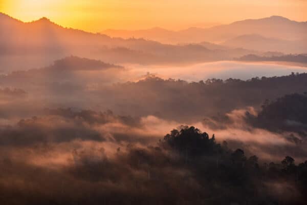 Danum Valley landscape