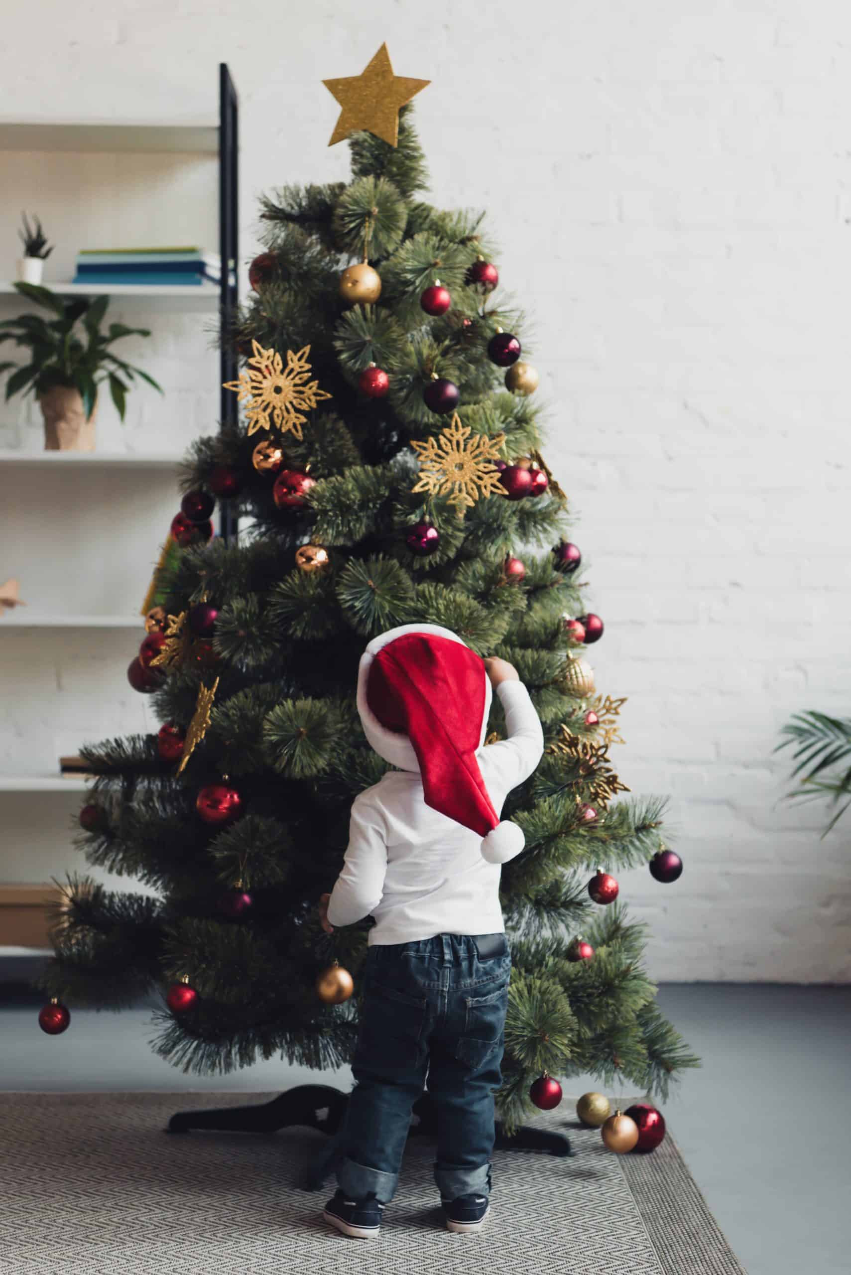 young child wearing santa hat looking at decorated christmas tree