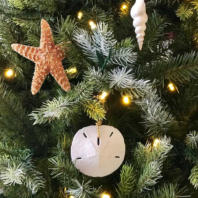 DIY beach Christmas ornaments to make from seashells - sand dollar, sea star, starfish, spindle shell