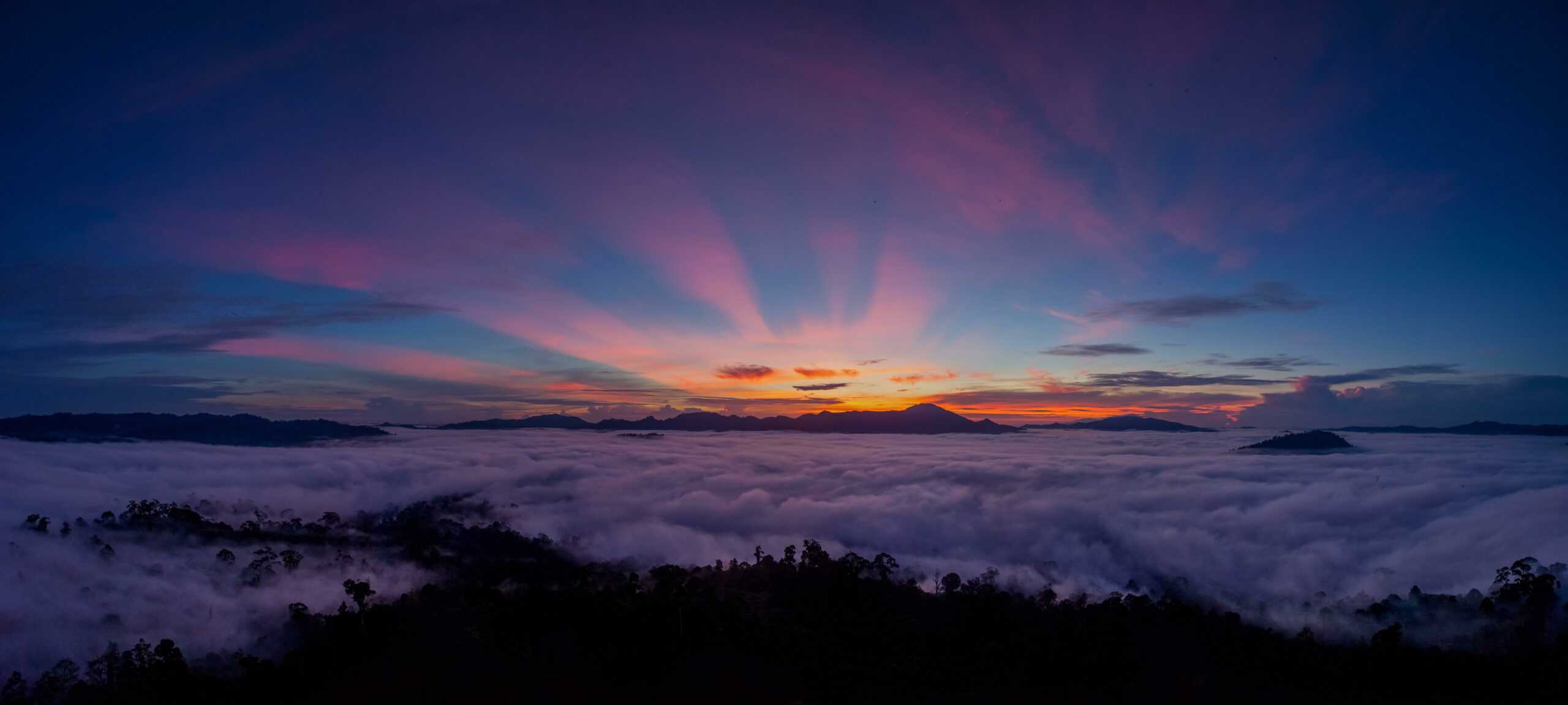 Danum Valley Borneo