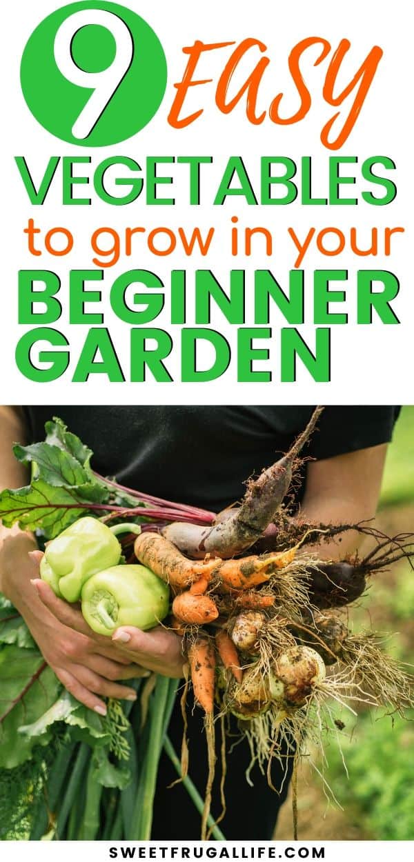 easy to grow vegetables