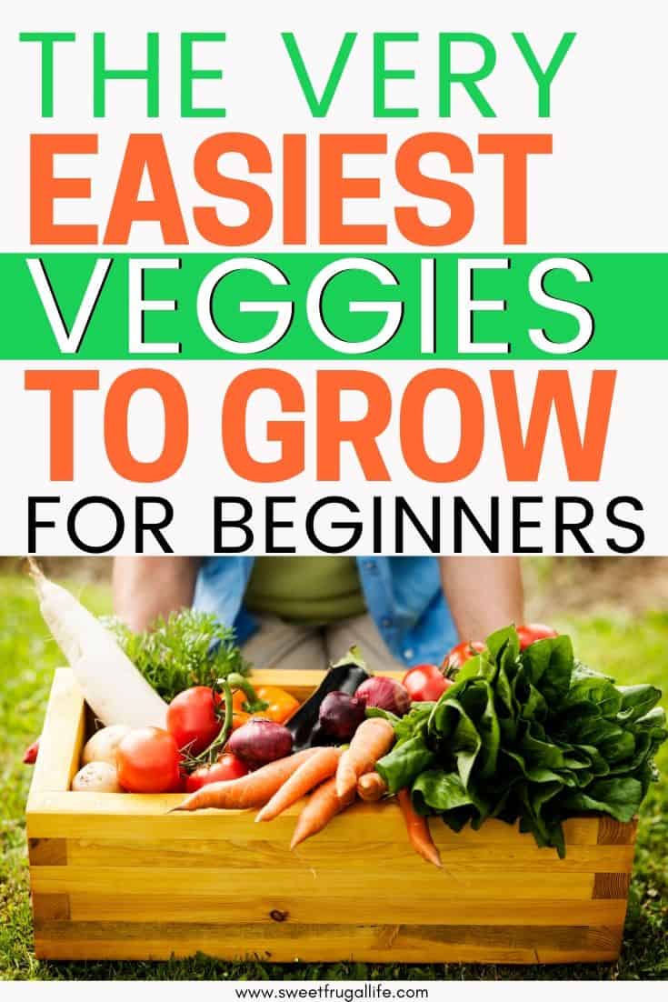 easiest vegetables to grow