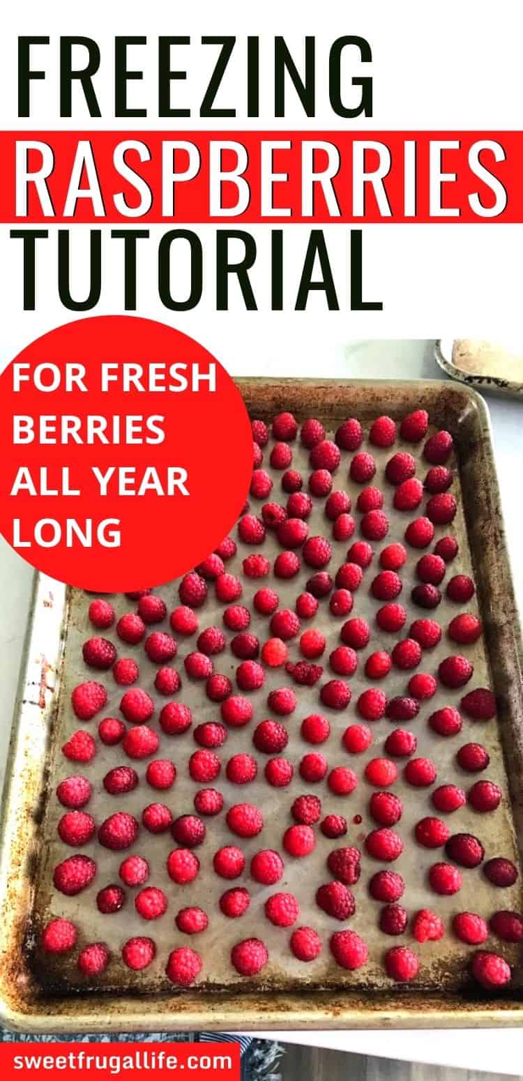 freezing raspberries tutorial