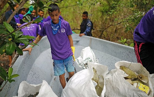 Semillas del Oceano Guatemala