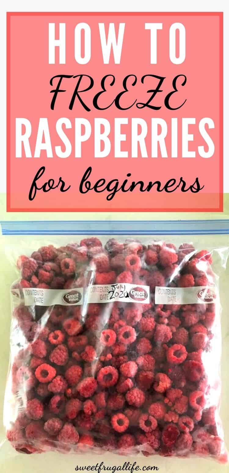 how to freeze raspberries for beginners