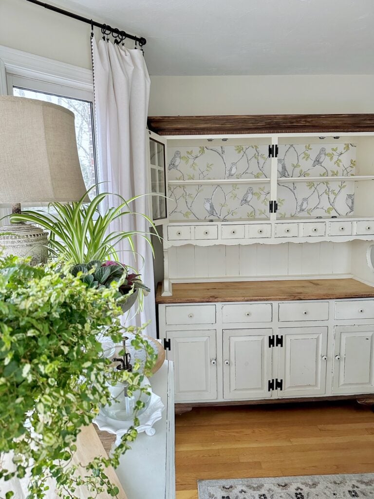 Photo of empty cabinet with the wall paper on the back of the hutch. The wallpaper has branches with light green leaves and gray owls perched on the branches. the background of the paper is cream colored. 