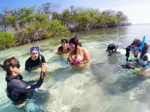 snorkeling puerto rico