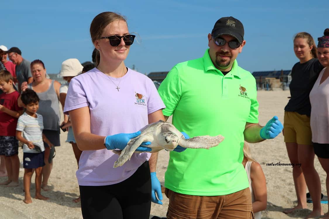 sea turtle rescue New Jersey