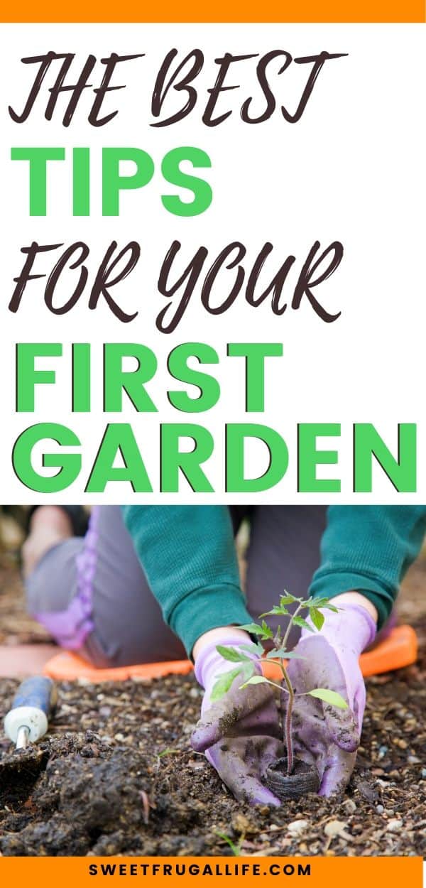 tips for your first garden