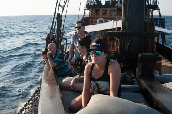 liveaboard whale patrol