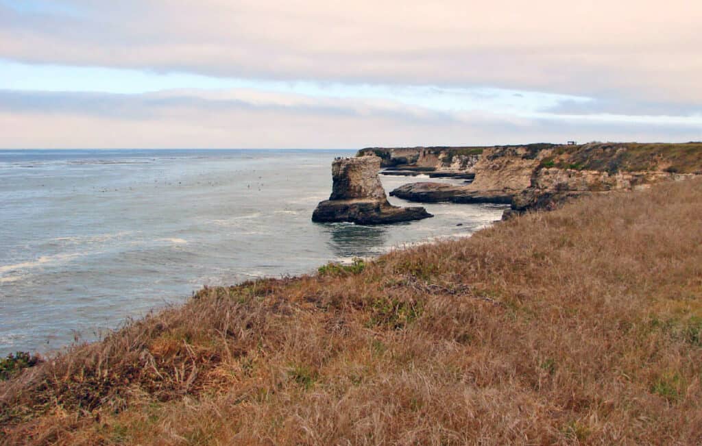 whale watching from shore near santa cruz